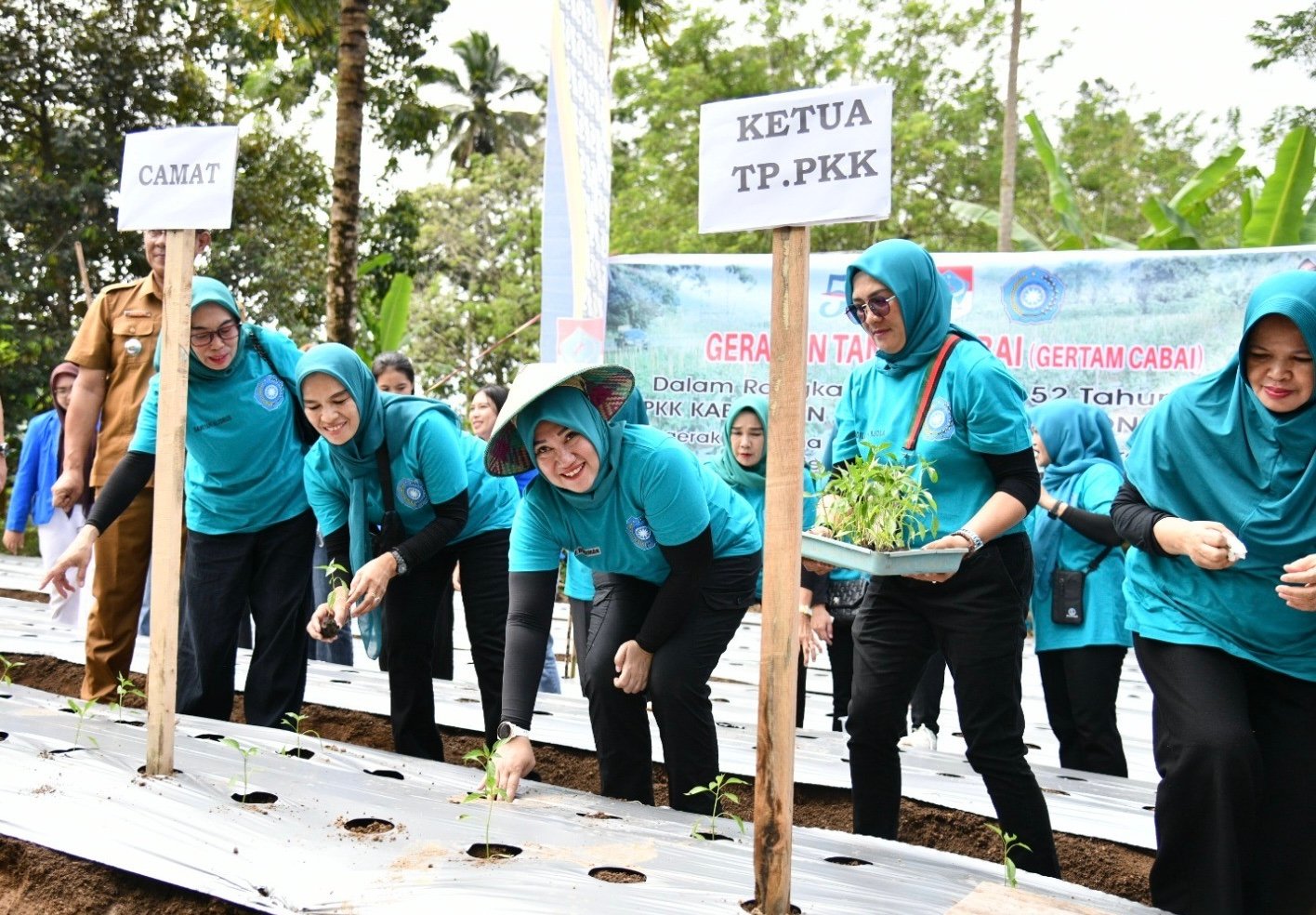 Gelar Gertam Cabai Di HKG PPK Ke 52 Seska Ayo Manfaatkan Lahan