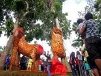 Wisata Tree on Tree1