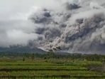 semeru-luncurkan-awan-panas-warga-dilarang-beraktivitas-di-radius-1-km-dari-puncak-evm