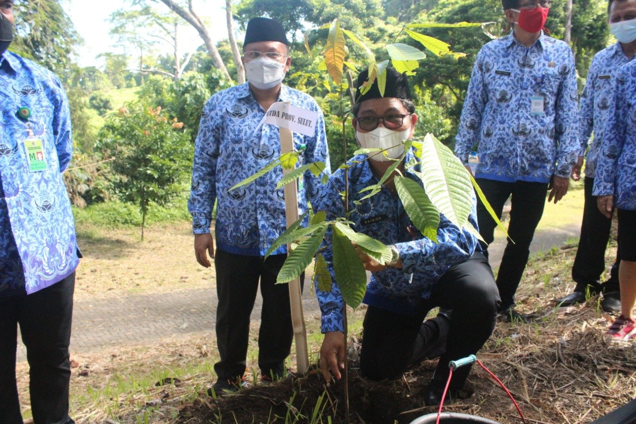 Rehabilitasi Lahan Kritis Jadi Program Prioritas Tunjang Pemulihan ...