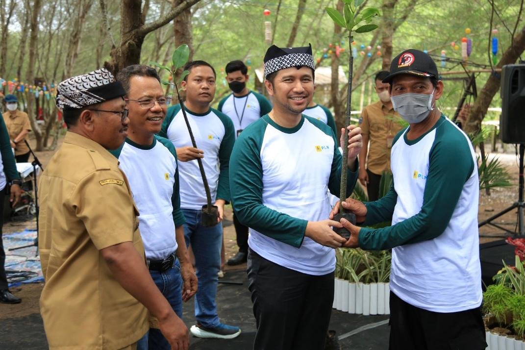 Wujudkan Pembangunan Berkelanjutan, PLN Tanam 5.000 Bibit Mangrove Di ...